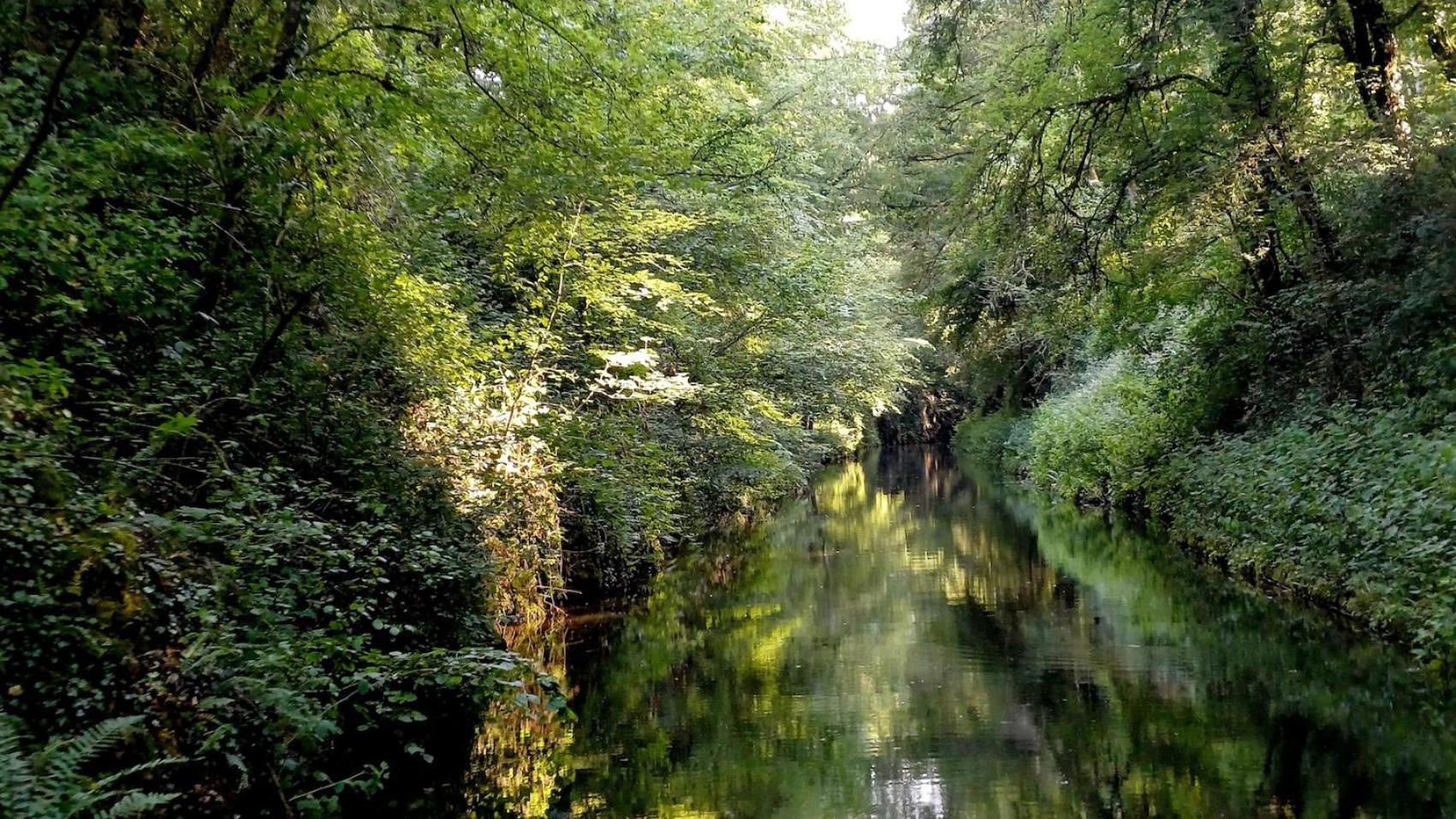 Le Manivert Vitry-Lache Exteriör bild