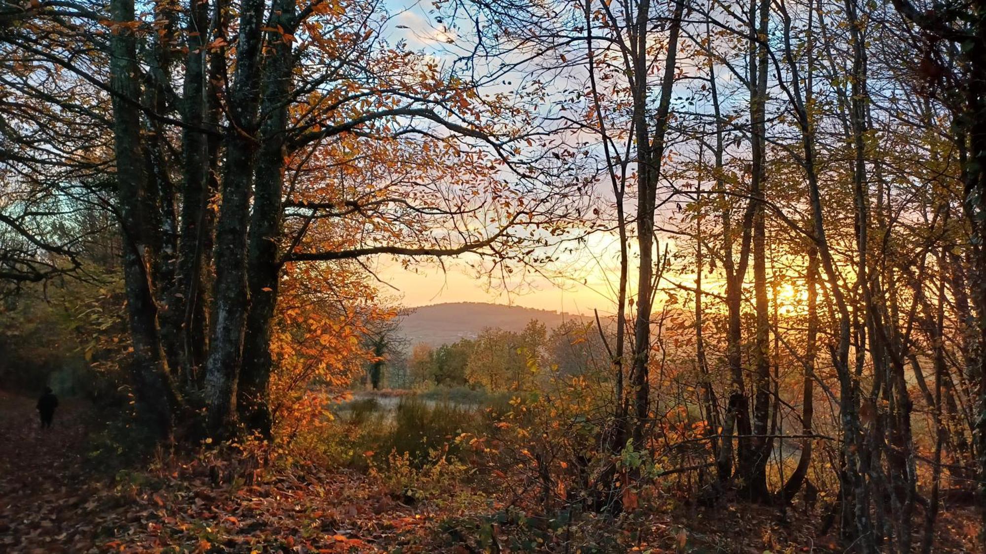 Le Manivert Vitry-Lache Exteriör bild